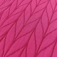 Wasserlilie pink
